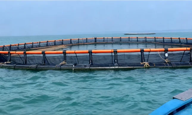 Deepwater Marine Ranch & HDPE Cages